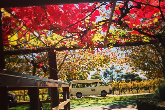 Ultimate Swan Valley Food and Wine Day Trip from Perth - Providore and Gourmet Liqueurs: Where the Foodies Get Happy