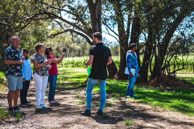 Upper Reach Winery: Swan Valley Winery and Vineyard Tour - Barrel and tank tastings: the part you can’t fake
