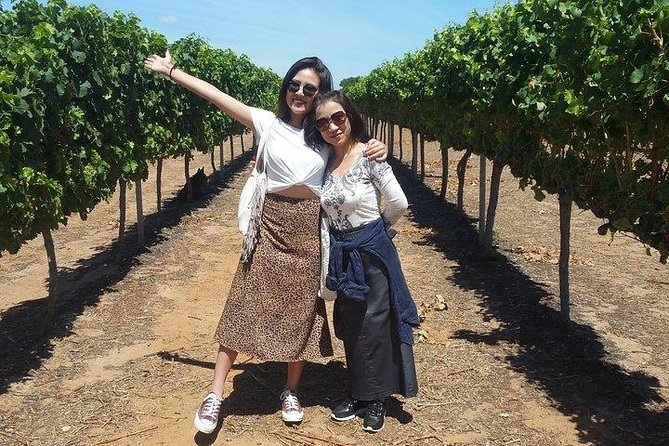 VIP Swan Valley Wine Tour - Premium Small Group Wine & Gourmet Experience - Key highlights to expect