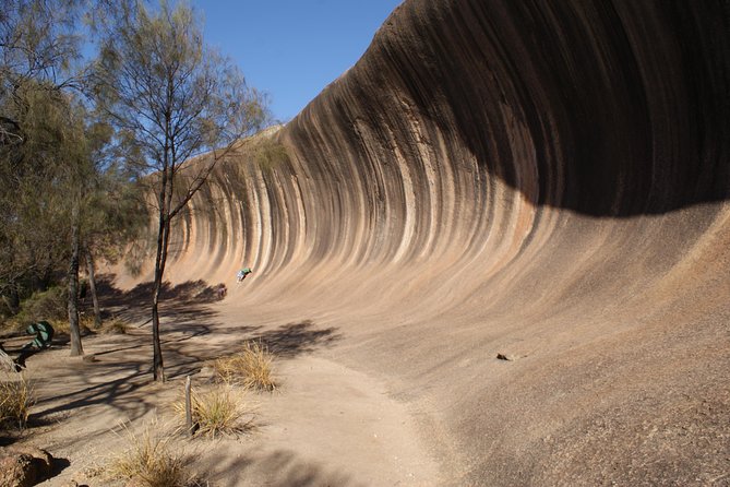 Wave Rock and Pinnacles Air & Ground Tour - Key points to know before you go