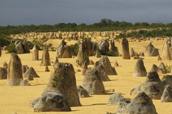 Wave Rock and Pinnacles Air & Ground Tour - Small practical tips to make the day easier
