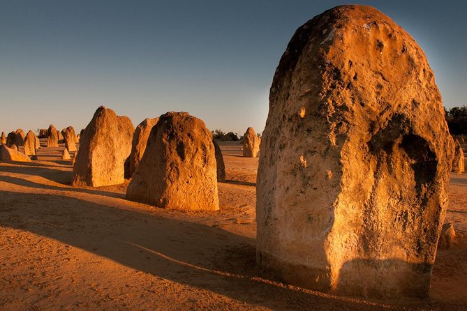 Wave Rock and Pinnacles Air & Ground Tour - Is this tour for you? My booking advice