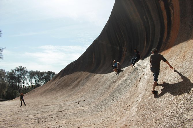Wave Rock, Pinnacles and Rottnest One Day Aeroplane Tour - Stop 3: Rottnest Island time with quokkas and beach options