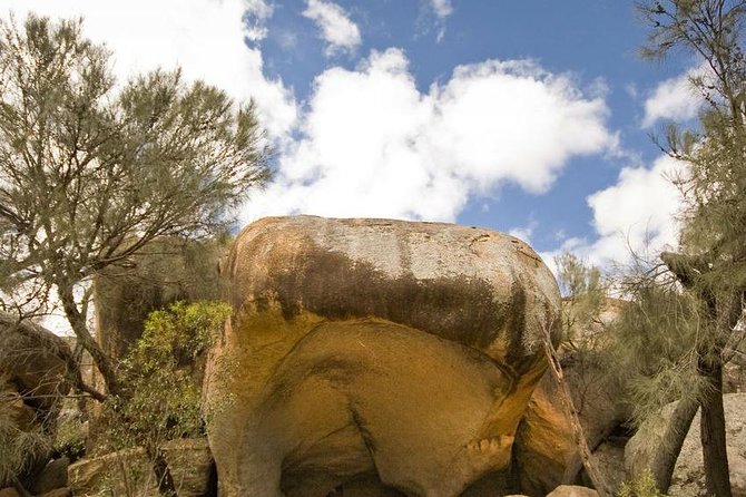Wave Rock, York and Aboriginal Cultural Day Tour from Perth - York and the Avon Valley: Small Town Time That Actually Matters