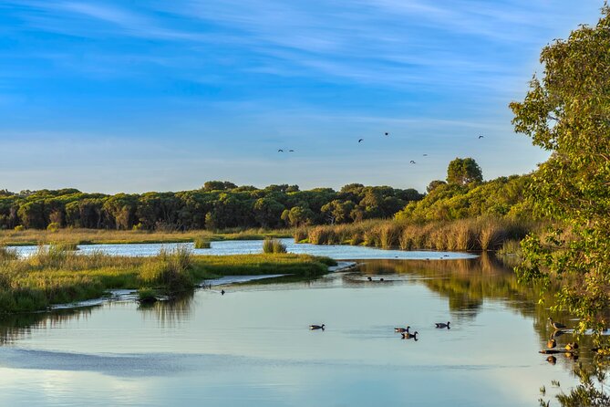 Western Australia’s Paradise: A Private Day Tour from Perth - Why this Perth private tour feels like better use of your time