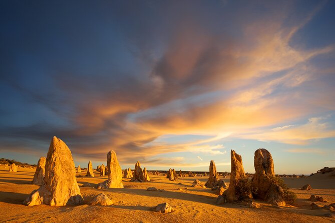 Western Australia’s Paradise: A Private Day Tour from Perth - Morning start in Perth: pickup, guide intro, and setting the rhythm