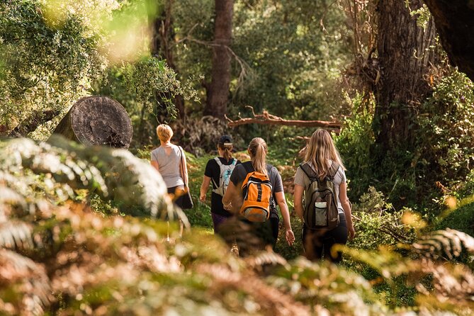 Yanchep Ultimate Adventure Guided Hike Tour - Quick hits you’ll actually care about