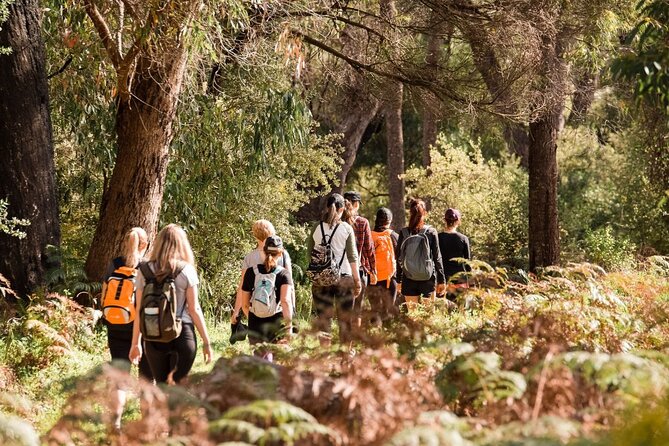 Yanchep Ultimate Adventure Guided Hike Tour - Entering Yanchep National Park: Why This Trail Feels Like More Than a Walk