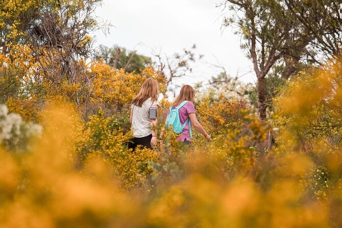 Yanchep Ultimate Adventure Guided Hike Tour - Ghost House Trail: Wetlands, Ruins, Limestone, and Those Sudden Wildlife Moments